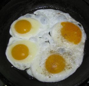 volsky_voci_z_domacich_vajec