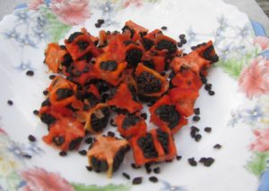 Paprika Chlupatá - tmavá semena - foto Josef Mareyi