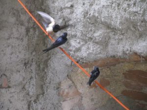 Když se to na poprvé nepovede, školení rodičem přijde vhod