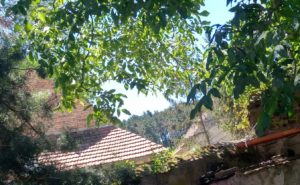 Skutečný pohled fotoaparátem telefonu