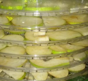 Nařezané hrušky v sušičce