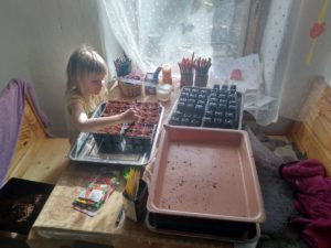 zapojení dětí do přípravy semen